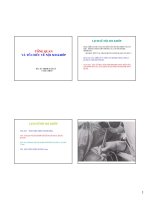 TỔNG QUAN VÀ TỔ CHỨC VỀ NỘI SOI KHỚP docx