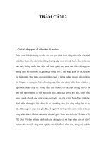 TRẦM CẢM 2I - Vài nét tổng quan về trầm cảm (Overview) Trầm cảm là hiện pptx