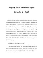 Nhạc cụ thuộc họ hơi của người Cơtu, Tà ôi - Pakô docx