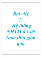 Bài viết 1: Hệ thống NHTM ở Việt Nam thời gian qua docx