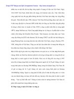 Bán hàng thương mại điện tử ở Việt Nam - 3 doc