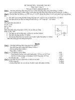 ĐỀ THI HỌC KÌ I NĂM HỌC 2010-2011 Môn: Vật lí - Lớp 11 ppt