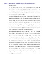 Thúc đẩy quan hệ thương mại Việt Nam - Hoa Kỳ - p3 pdf