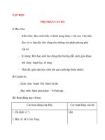 Giáo án lớp 4 môn TẬP ĐỌC THỊ TRẤN CÁT BÀ docx