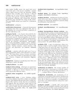 A Dictionary of Genetics phần 6 pot