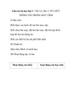 Giáo án tin học lớp 5 - Tiết 5,6: Bài 3: TỔ CHỨC THÔNG TIN TRONG MÁY TÍNH I/ Mục pptx