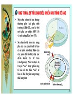 Cơ sở di truyền ung thư part 4 ppt