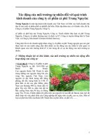 Đề tài: Tác động của môi trường tự nhiên đối với quá trinh kinh doanh của công ty cổ cà phê Trung Nguyên pot