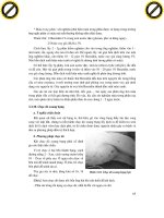 Giáo trình hướng dẫn tìm hiểu về cấu tạo cơ quan tiêu hóa ở động vật nhai lại phần 3 ppt