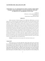 Báo cáo nghiên cứu khoa học: 