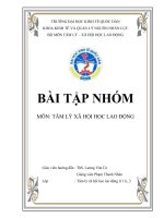 BÀI TẬP NHÓM MÔN: TÂM LÝ XÃ HỘI HỌC LAO ĐỘNG
