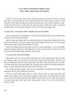 CÁC TRẠNG THÁI HOẠT ĐỘNG NÃO ppt