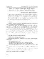 Báo cáo nghiên cứu khoa học: 