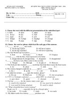 ĐỀ KIỂM TRA CHẤT L ƯỢNG NĂM HỌC 2010 - 2011 MÔN: NGOẠI NGỮ - Mã Đề: 101 ppsx