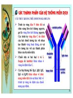 Điều hòa gene hệ miễn dịch ở động vật có xương sống part 4 doc