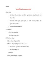 Giáo án lớp 4 môn Từ ngữ NGHIÊN CỨU KHOA HỌC docx