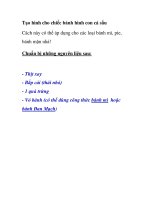 Tạo hình cho chiếc bánh hình con cá sấu pptx