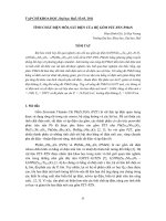 Báo cáo nghiên cứu khoa học: 