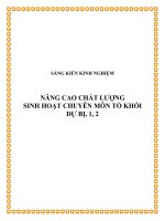 skkn nâng cao chất lượng sinh hoạt chuyên môn tổ khối dự bị 1,2