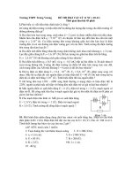 ĐÈ THI HKI VẬT LÝ 11 NC ( 10-11) ppsx