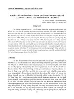 Báo cáo nghiên cứu khoa học: 