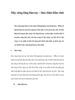 Dày sừng lòng bàn tay – bàn chân bẩm sinh pdf