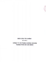 báo cáo tài chính quý 2 năm 2012 công ty cổ phần chứng khoán tp hồ chí minh