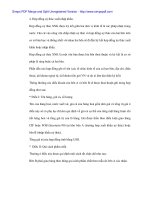 Nâng cao mô hình xuất nhập khẩu ủy thác - 2 pdf