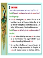 Cơ sở di truyền ung thư part 6 docx