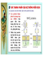 Điều hòa gene hệ miễn dịch ở động vật có xương sống part 5 docx