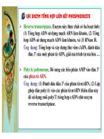 Công nghệ ADN tái tổ hợp part 8 potx