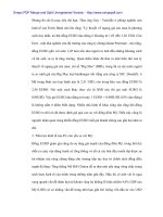 Sự biến động của tỉ giá EURO và ảnh hưởng tới Việt Nam - 4 pdf