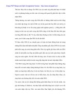 Sử dụng hiệu quả vốn đầu tư ngân sách cho đầu tư phát triển địa phương tại Hồng Lĩnh - 2 pptx