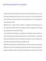 Sử dụng hiệu quả vốn kinh doanh tại Cty Xây dựng thủy lợi 3 Nghệ An - 8 potx