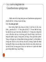Phần 7 BỆNH KÝ SINH TRÙNG LÂY TỪ ĐỘNG VẬT SANG NGƯỜI potx