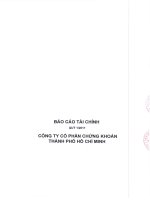 báo cáo tài chính quý 1 năm 2011 công ty cổ phần chứng khoán tp hồ chí minh
