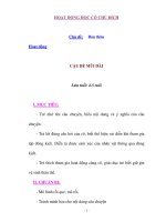 HOẠT ĐỘNG HỌC CÓ CHỦ ĐÍCH Chủ đề: CẬU BÉ MŨI DÀI pptx