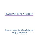 Báo cáo thực tập tốt nghiệp tại công ty Vinaken potx