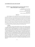 Báo cáo nghiên cứu khoa học: 