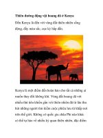 Thiên đường động vật hoang dã ở Kenya doc