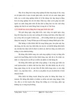 Giáo trình hướng dẫn phân tích nghiên cứu hóa chất bảo vệ thực vật gây nên tồn dư kim loại p4 ppt