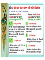 Điều hòa gene hệ miễn dịch ở động vật có xương sống part 8 pps