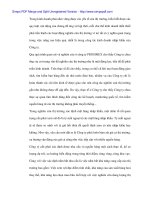 Tiền đề cho xuất khẩu tại Cty Sản xuất kinh doanh Xuất nhập khẩu - 5 ppt