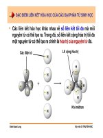 Di truyền học phân tử và tế bào : Liên kết hóa học của các đại phân tử sinh học part 2 ppsx