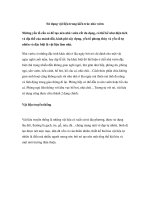 Sử dụng vật liệu trong kiến trúc nhà vườn potx