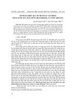 Báo cáo nghiên cứu khoa học: 