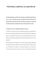 Nuôi dưỡng và phát huy sức mạnh dân tộc pot