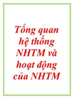 Tổng quan hệ thống NHTM và hoạt động của NHTM potx