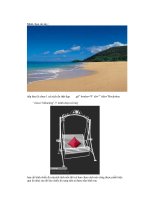 Giáo trình hướng dẫn tìm hiểu cách đưa hình ảnh trong photoshop hay và bổ ích phần 7 doc