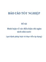 Đề tài: Bình luận về các điều kiện chi ngân sách nhà nước (qui định pháp luật và thực tiễn áp dụng) pptx